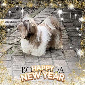 Meet your Posher, Robin